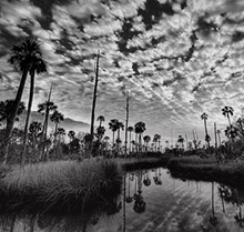 Alachua Conservation Trust Alachua Conservation Trust
